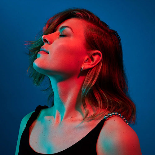 Alpine Partyplug Music Earplugs